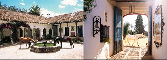 Andalusian